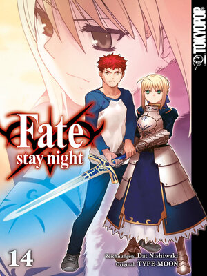 cover image of Fate/stay night--Einzelband 14